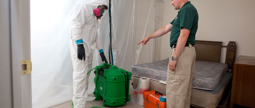 San Angelo, TX mold removal process